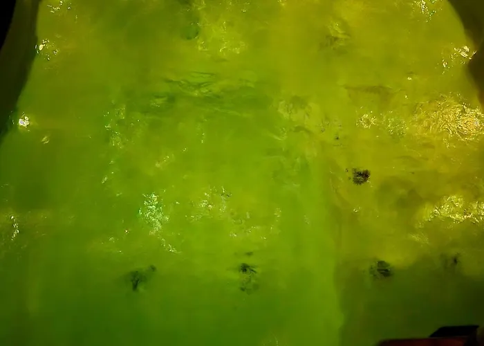 Rincon Do Mar Arenablanca Appartamento